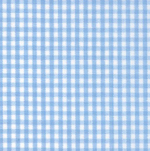 light blue gingham pants